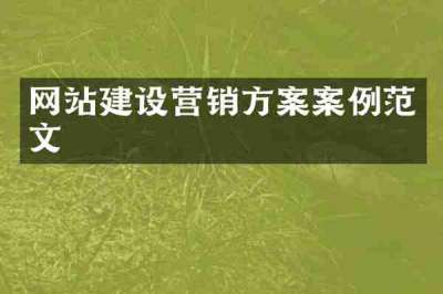 网站建设营销方案案例范文
