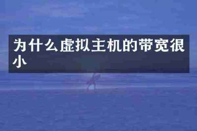 为什么虚拟主机的带宽很小