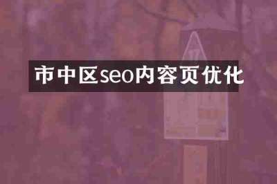 市中区seo内容页优化