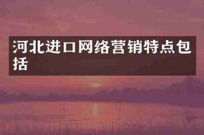 河北进口网络营销特点包括