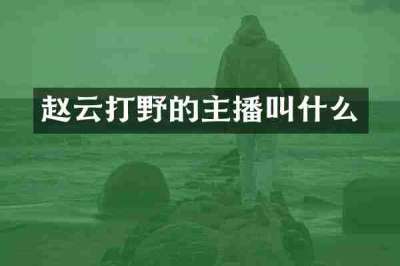 赵云打野的主播叫什么