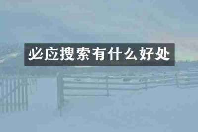 必应搜索有什么好处
