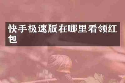 快手极速版在哪里看领红包