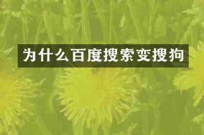为什么百度搜索变搜狗