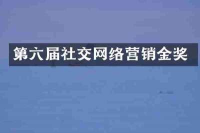 第六届社交网络营销金奖