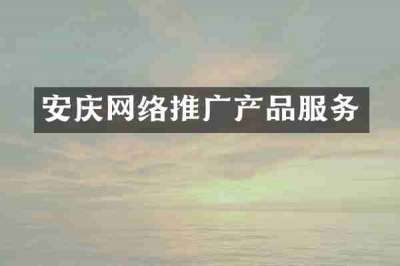 安庆网络推广产品服务