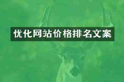 优化网站价格排名文案