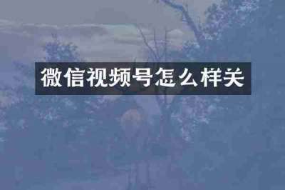 微信视频号怎么样关