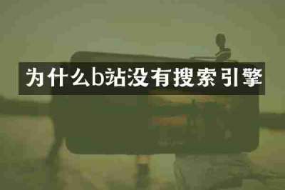 为什么b站没有搜索引擎