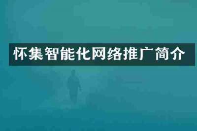 怀集智能化网络推广简介
