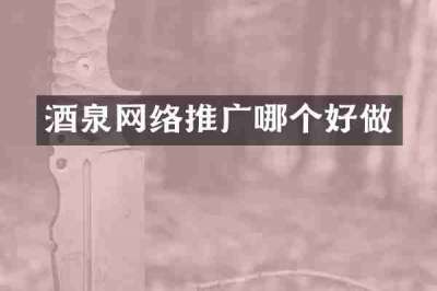 酒泉网络推广哪个好做