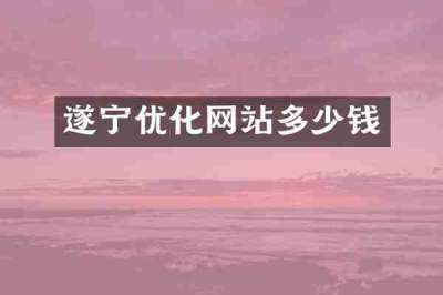 遂宁优化网站多少钱