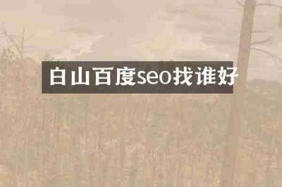 白山百度seo找谁好