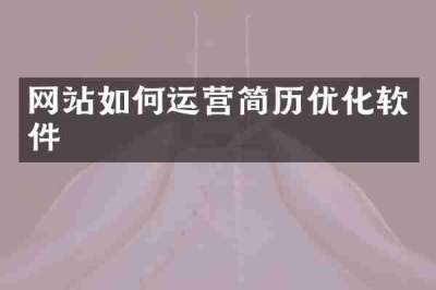 网站如何运营简历优化软件