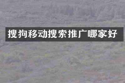 搜狗移动搜索推广哪家好