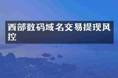 西部数码域名交易提现风控