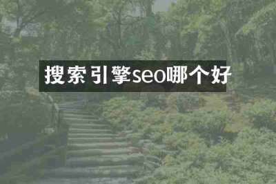 搜索引擎seo哪个好