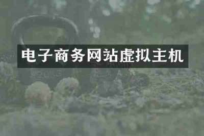 电子商务网站虚拟主机