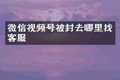 微信视频号被封去哪里找客服