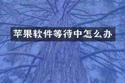 苹果软件等待中怎么办