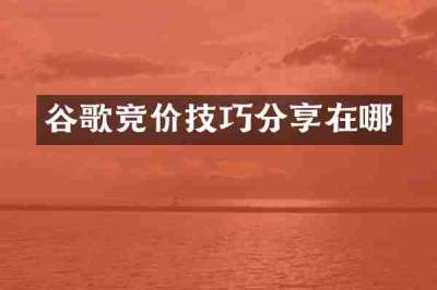 谷歌竞价技巧分享在哪