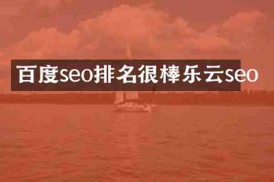 百度seo排名很棒乐云seo