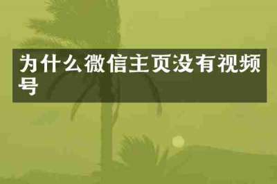 为什么微信主页没有视频号