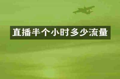 直播半个小时多少流量