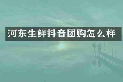 河东生鲜抖音团购怎么样