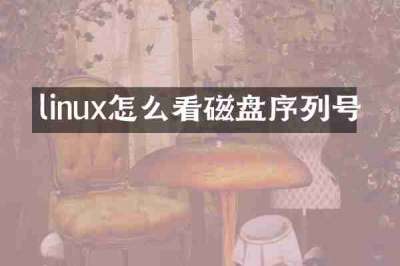 linux怎么看磁盘序列号