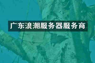 广东浪潮服务器服务商