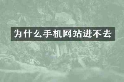 为什么手机网站进不去