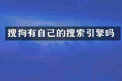 搜狗有自己的搜索引擎吗