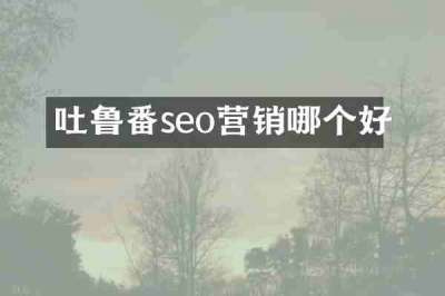 吐鲁番seo营销哪个好