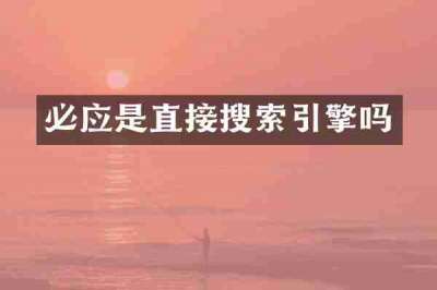 必应是直接搜索引擎吗