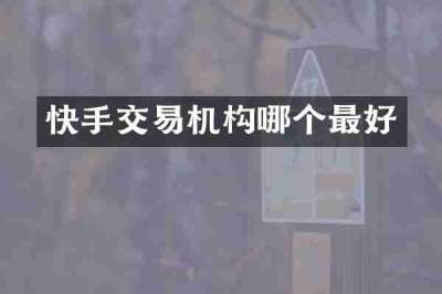 快手交易机构哪个最好