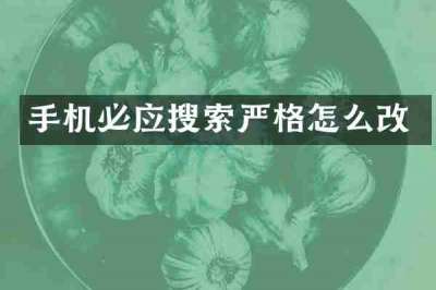 手机必应搜索严格怎么改