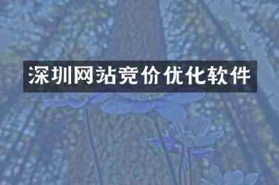 深圳网站竞价优化软件