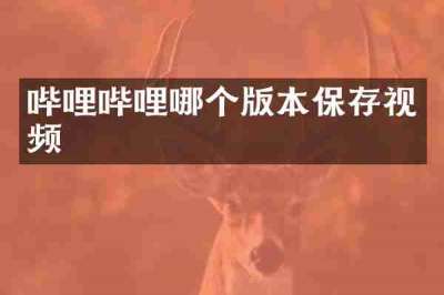 哔哩哔哩哪个版本保存视频