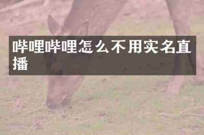 哔哩哔哩怎么不用实名直播