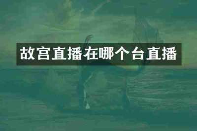 故宫直播在哪个台直播