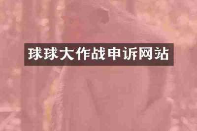 球球大作战申诉网站