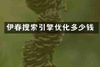 伊春搜索引擎优化多少钱