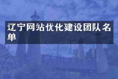 辽宁网站优化建设团队名单