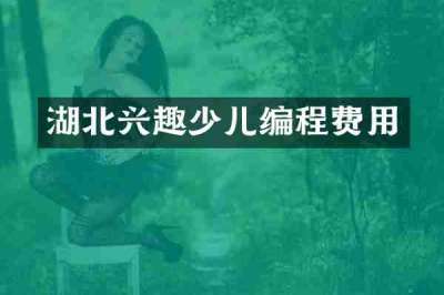 湖北兴趣少儿编程费用