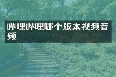 哔哩哔哩哪个版本视频音频