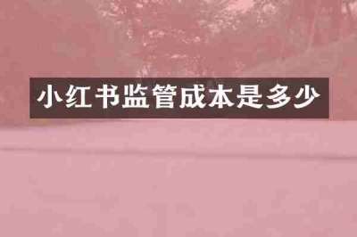 小红书监管成本是多少