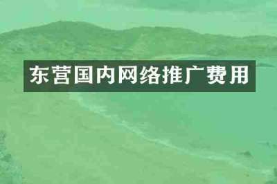 东营国内网络推广费用
