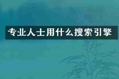 专业人士用什么搜索引擎