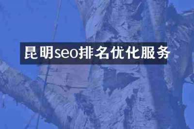 昆明seo排名优化服务
